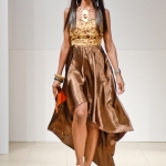 attolle-collection-at-africa-fashion-week-in-new-york-afwny-2012-1